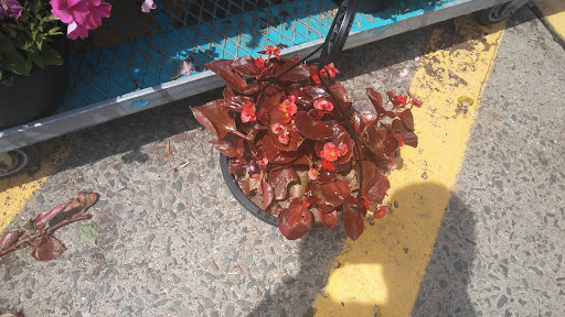 Home Improvement Store «The Home Depot», reviews and photos, 3540 New Jersey 66, Neptune City, NJ 07753, USA