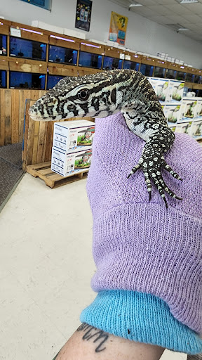 Shopping Mall «Hampton Plaza Shopping Center», reviews and photos, 4033 W Mercury Blvd, Hampton, VA 23666, USA