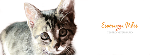 Centro Veterinario Esperanza Ribes en Alicante
