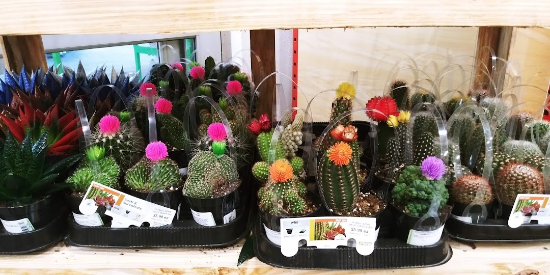 Garden Center at The Home Depot