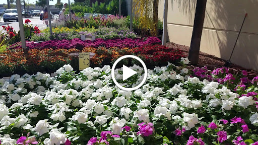 Home Improvement Store «The Home Depot», reviews and photos, 6633 Westminster Ave, Westminster, CA 92683, USA