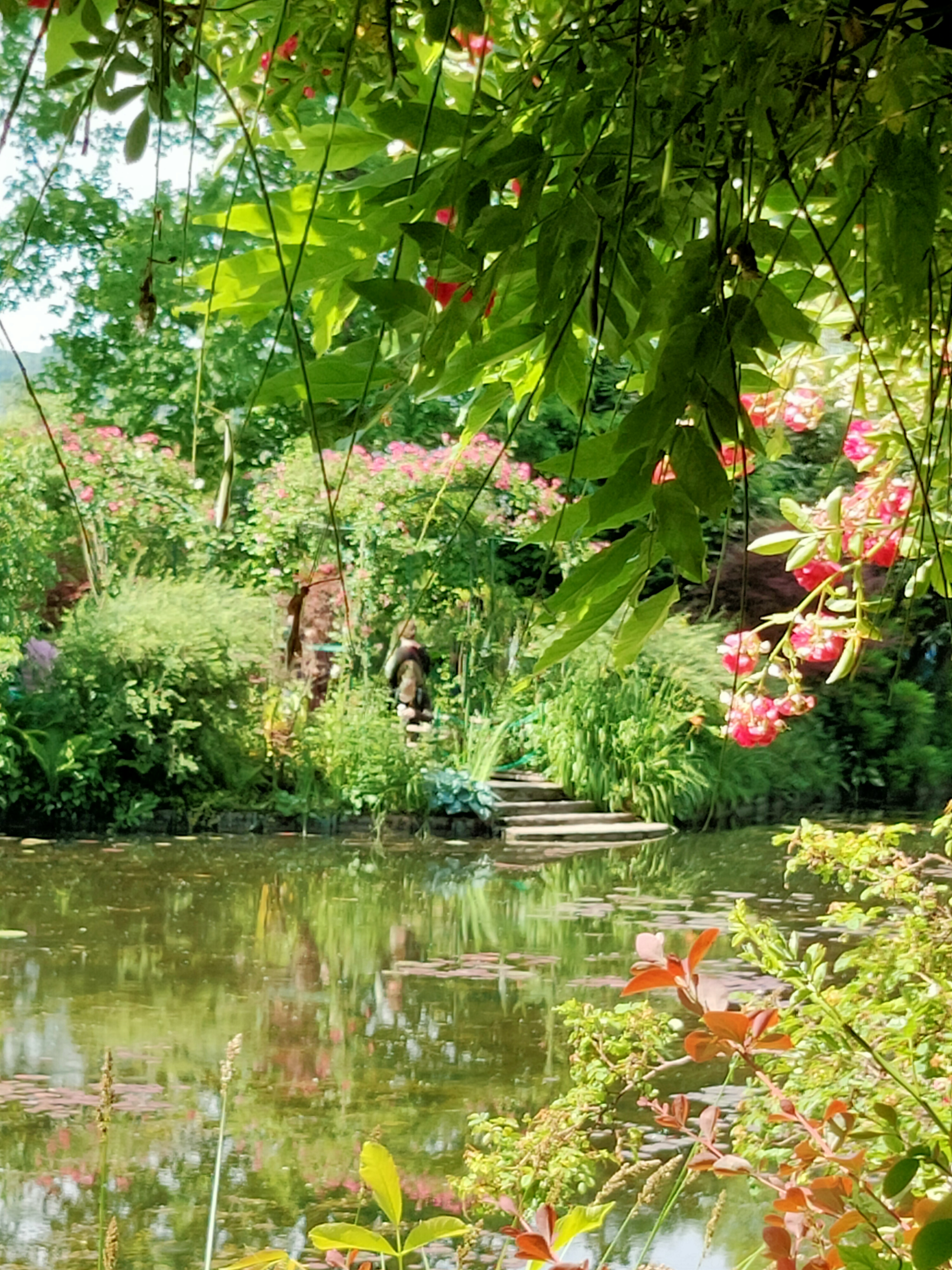 Photo n° 17 de l'avis de Juliette.e fait le 08/06/2022 à 08:02