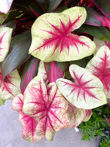 Home Improvement Store «The Home Depot», reviews and photos, 6400 Peachtree Dunwoody Rd, Sandy Springs, GA 30328, USA