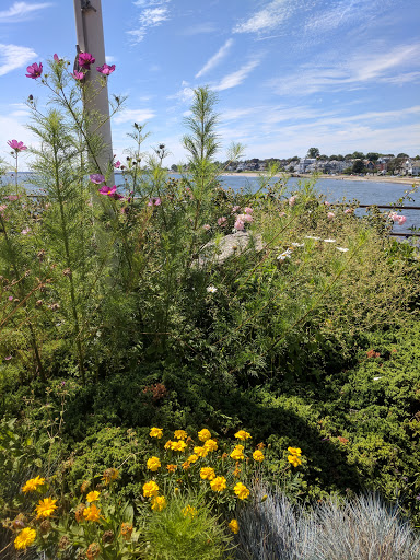 Water Sports Equipment Rental Service «Ocean House Surf & Skate», reviews and photos, 128 Humphrey St, Swampscott, MA 01907, USA