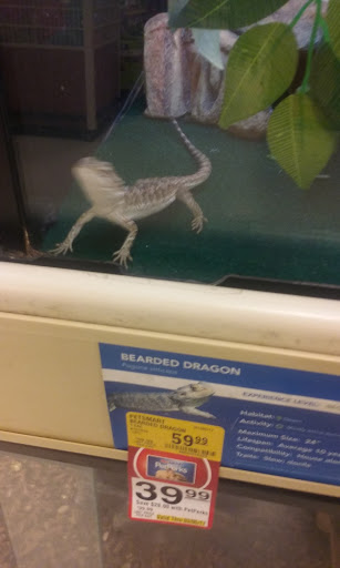 Pet Supply Store «PetSmart», reviews and photos, 5 Mystic View Rd, Everett, MA 02149, USA