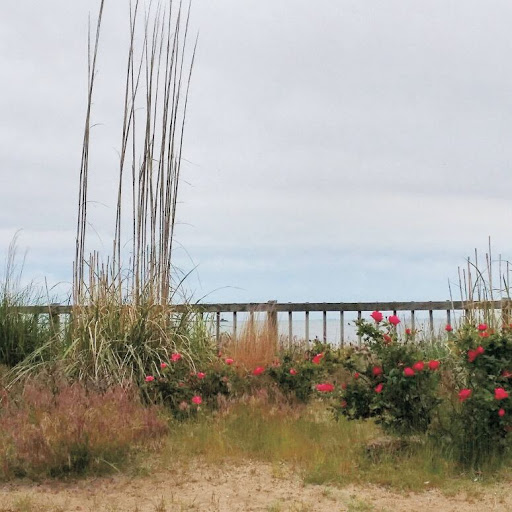 Park «Morse Park», reviews and photos, Morse Ave, West Haven, CT 06516, USA