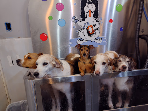 Pet Groomer «Belly scRubs Self Service Pet Wash», reviews and photos, 119 WV-34 #1, Hurricane, WV 25526, USA