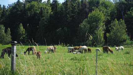 Ferme Récréative Caza