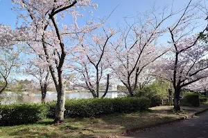 Mukaiyama Ryokuchi Park image