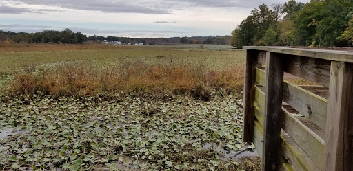 Park «Government Island», reviews and photos, 191 Coal Landing Road, Stafford, VA 22554, USA