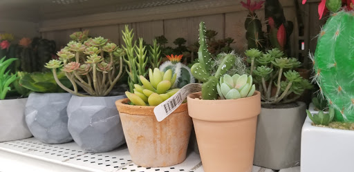 Craft Store «Michaels», reviews and photos, 2540 S Pleasant Valley Rd, Winchester, VA 22601, USA