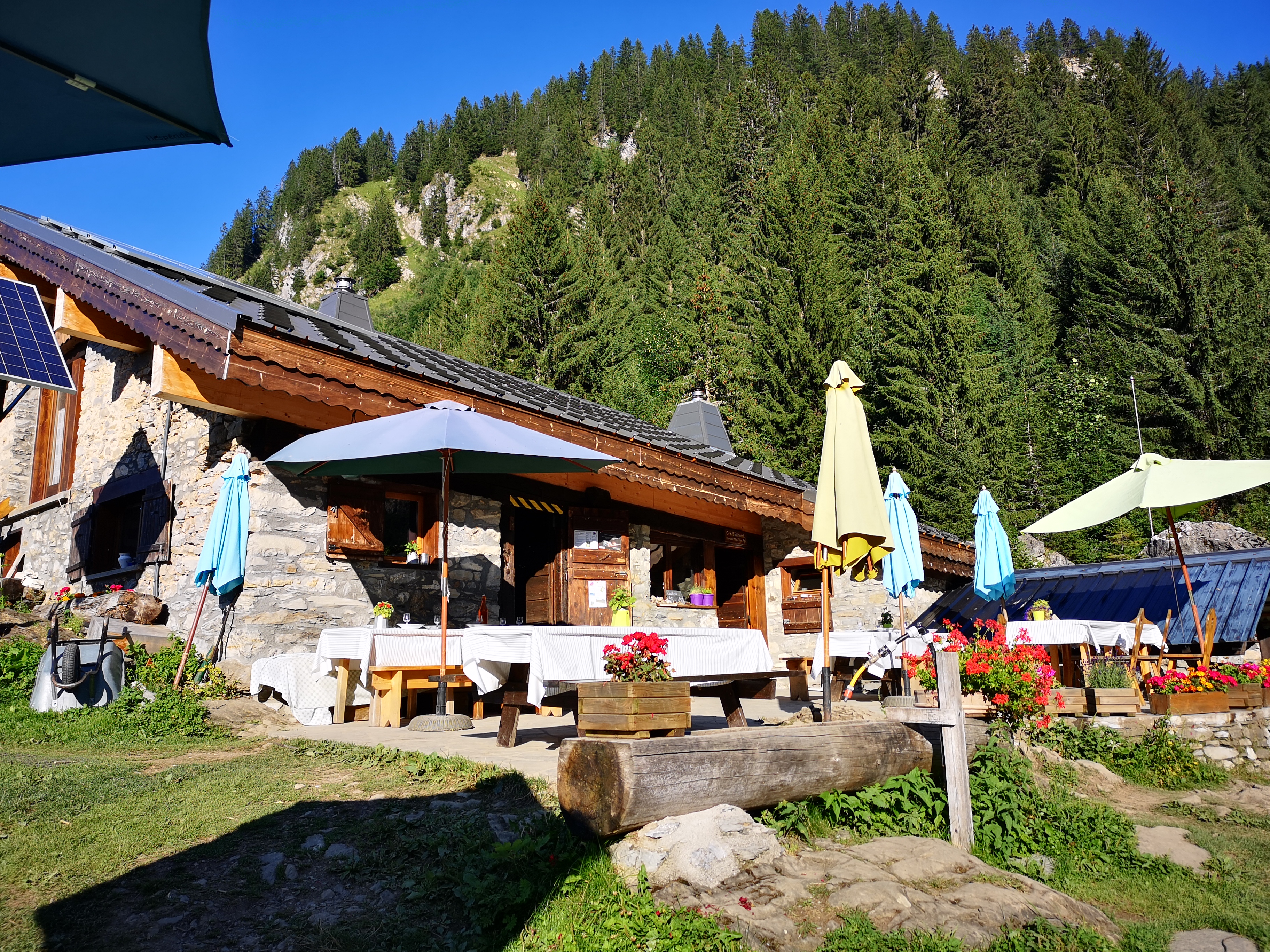 Photo n° 1 de l'avis de Giovanna. fait le 26/08/2019 à 16:07
