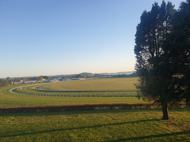Comments and reviews of Rotorua Racing Club Inc