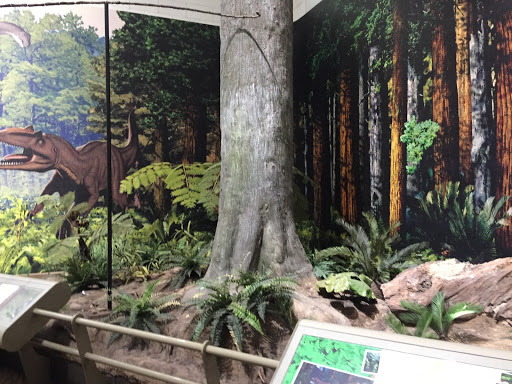 Art Museum «Carnegie Museum of Art», reviews and photos, 4400 Forbes Ave, Pittsburgh, PA 15213, USA