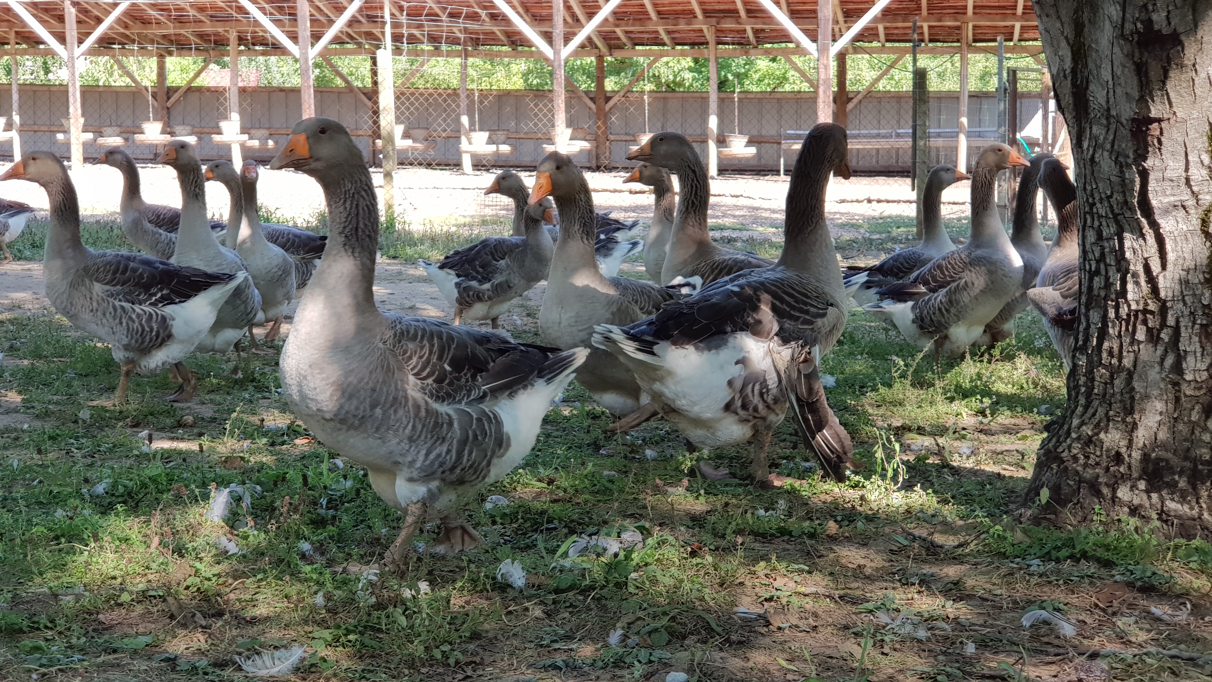 Photo n° 1 de l'avis de Rodolph.u fait le 22/08/2018 à 14:28