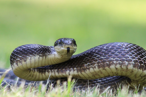 Park «Harford Glen Park», reviews and photos, 502 W Wheel Rd, Bel Air, MD 21015, USA