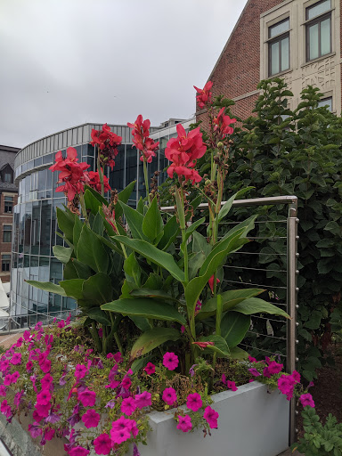 Book Store «Georgetown University Bookstore», reviews and photos, 3800 Reservoir Rd NW, Washington, DC 20057, USA