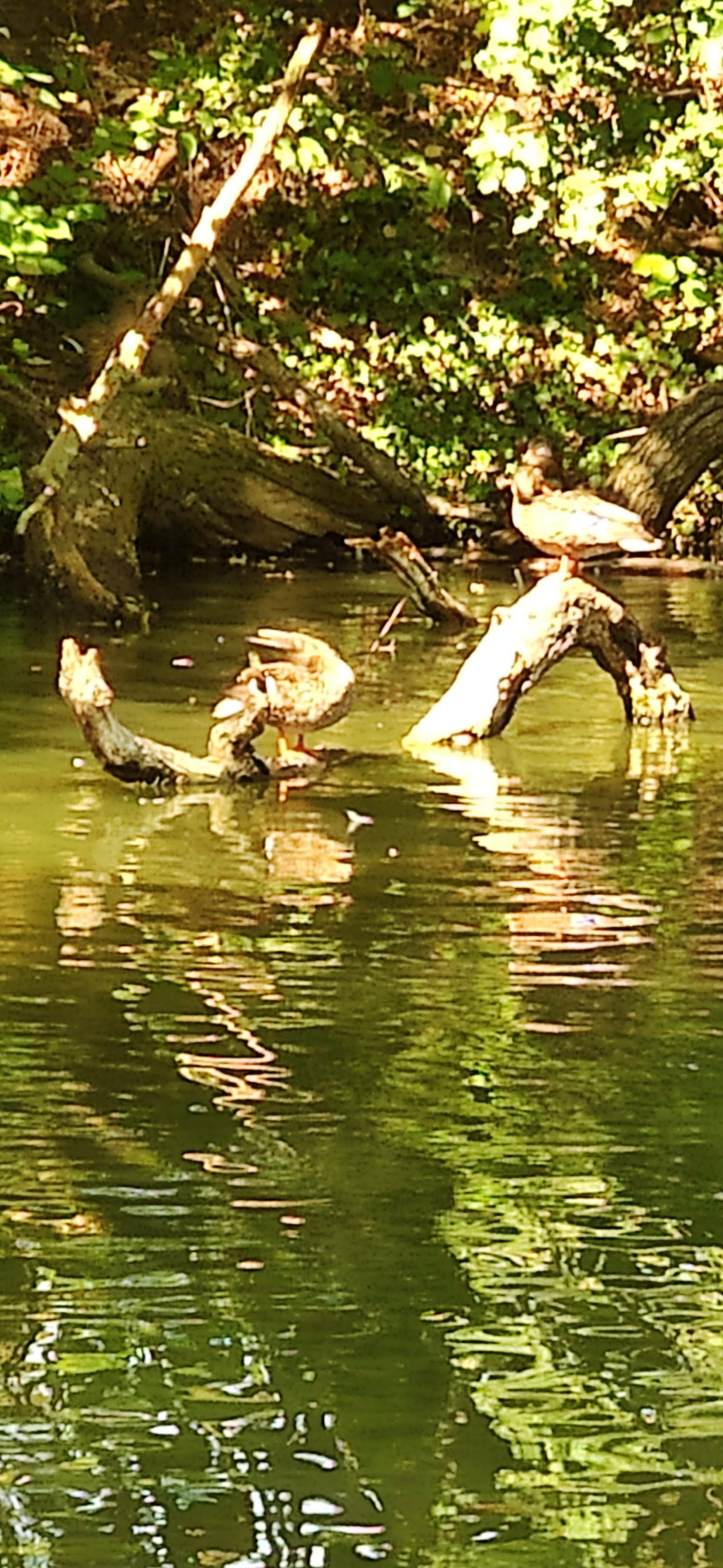 Photo n° 6 de l'avis de reg.a fait le 10/08/2020 à 08:51