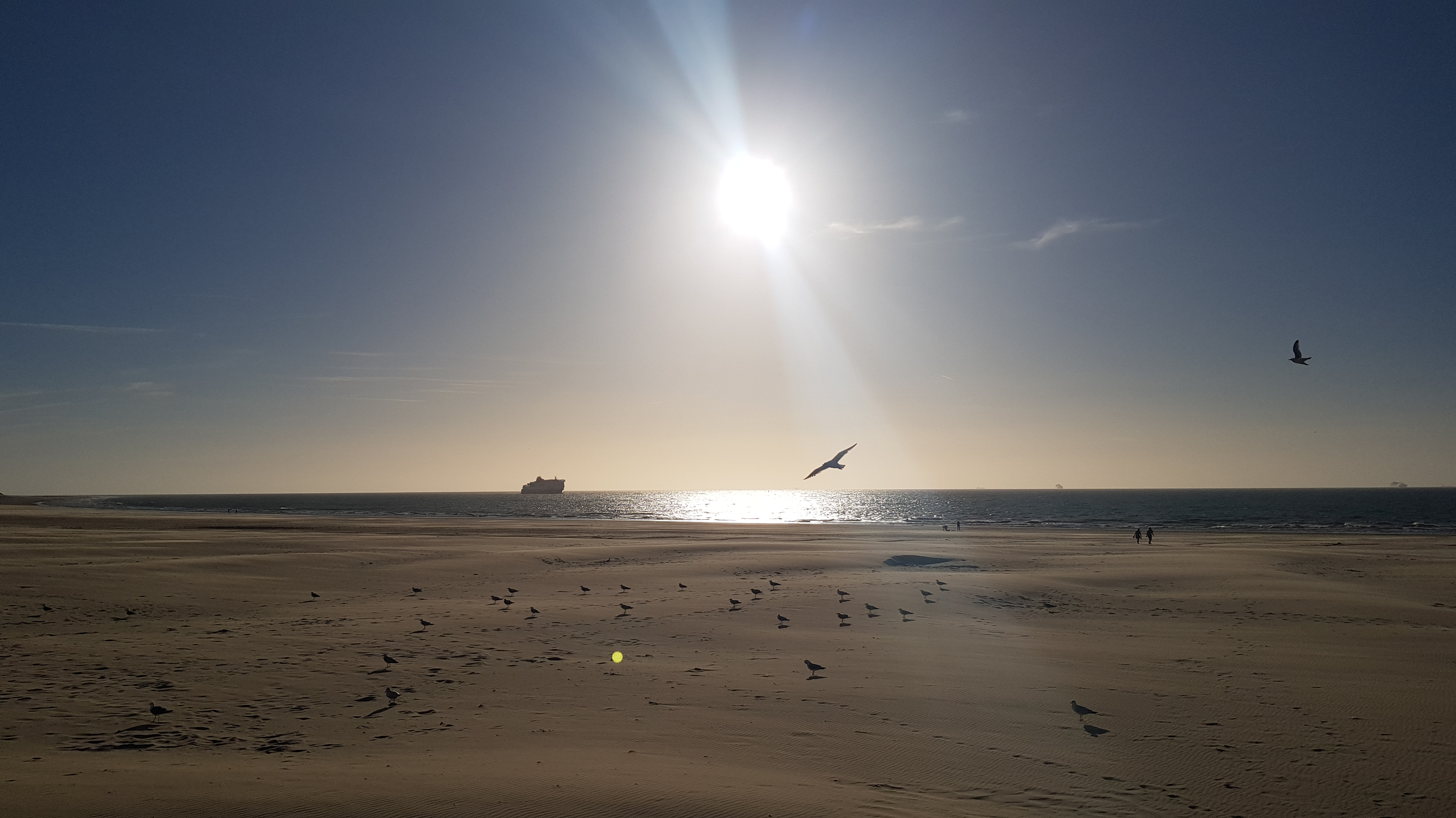 Photo n° 4 de l'avis de Mathieu.u fait le 11/06/2022 à 19:57