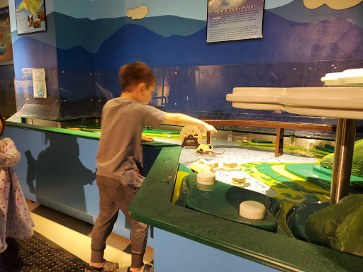 Science Museum «Asheville Museum of Science», reviews and photos, 43 Patton Ave, Asheville, NC 28801, USA