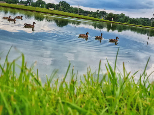 Park «Cottell Park», reviews and photos, 5847 Irwin Simpson Rd, Mason, OH 45040, USA