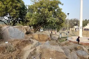 Arawali hill park, Motilal college image