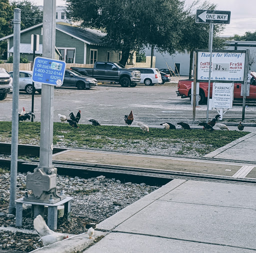 Consignment Shop «Revolve Clothing Exchange», reviews and photos, 1620 E 7th Ave, Tampa, FL 33605, USA