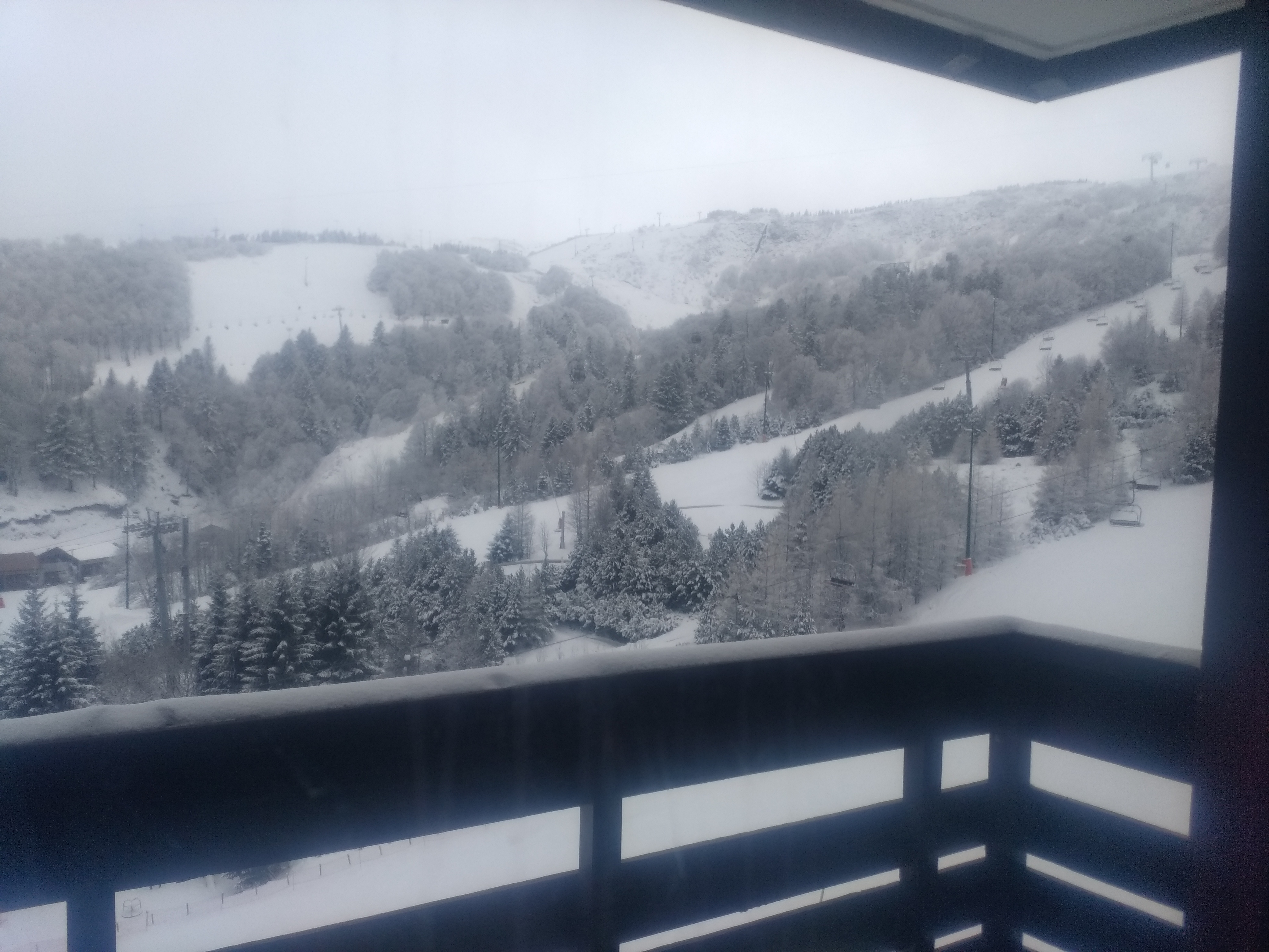 Photo n° 1 de l'avis de murielle.e fait le 15/05/2019 à 09:08