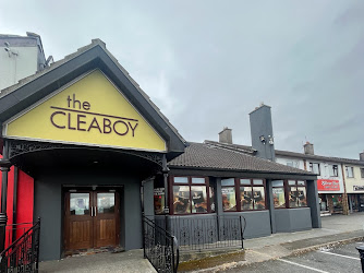 The Cleaboy