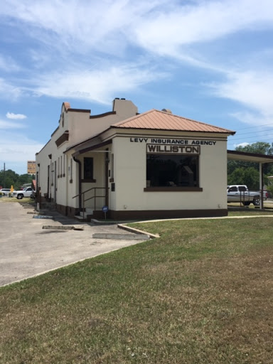 Levy Insurance Agency, Inc., 12 S Main St, Williston, FL 32696, Insurance Agency