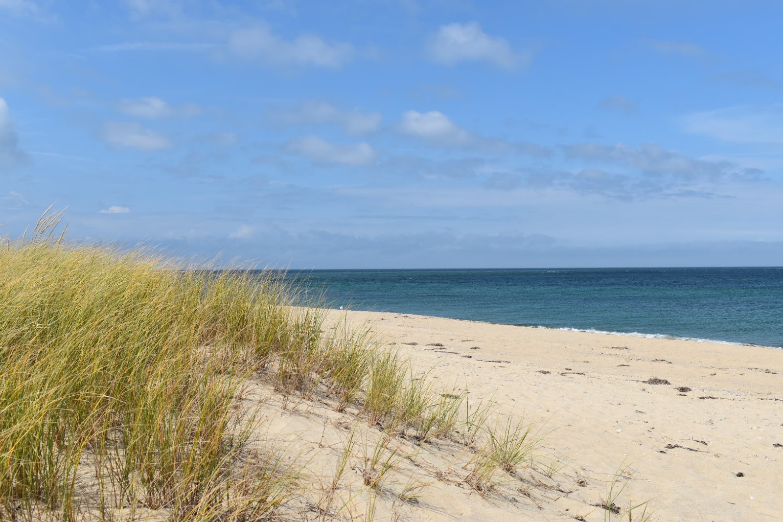 Foto di Great Point Beach ubicato in zona naturale
