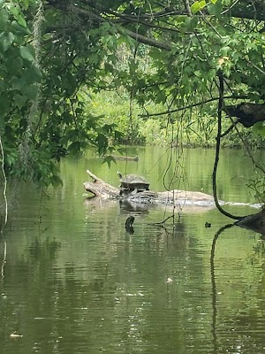 Turkey Creek Kayak Launch - photo 18