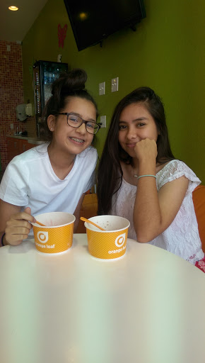 Ice Cream Shop «Orange Leaf Frozen Yogurt», reviews and photos, 119 SW Loop 410 #208, San Antonio, TX 78245, USA