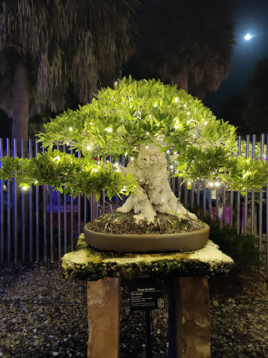 Botanical Garden «Heathcote Botanical Gardens», reviews and photos, 210 Savannah Rd, Fort Pierce, FL 34982, USA