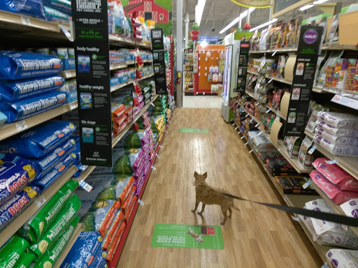 Pet Supply Store «Petco Animal Supplies», reviews and photos, 5481 Lone Tree Way, Brentwood, CA 94513, USA