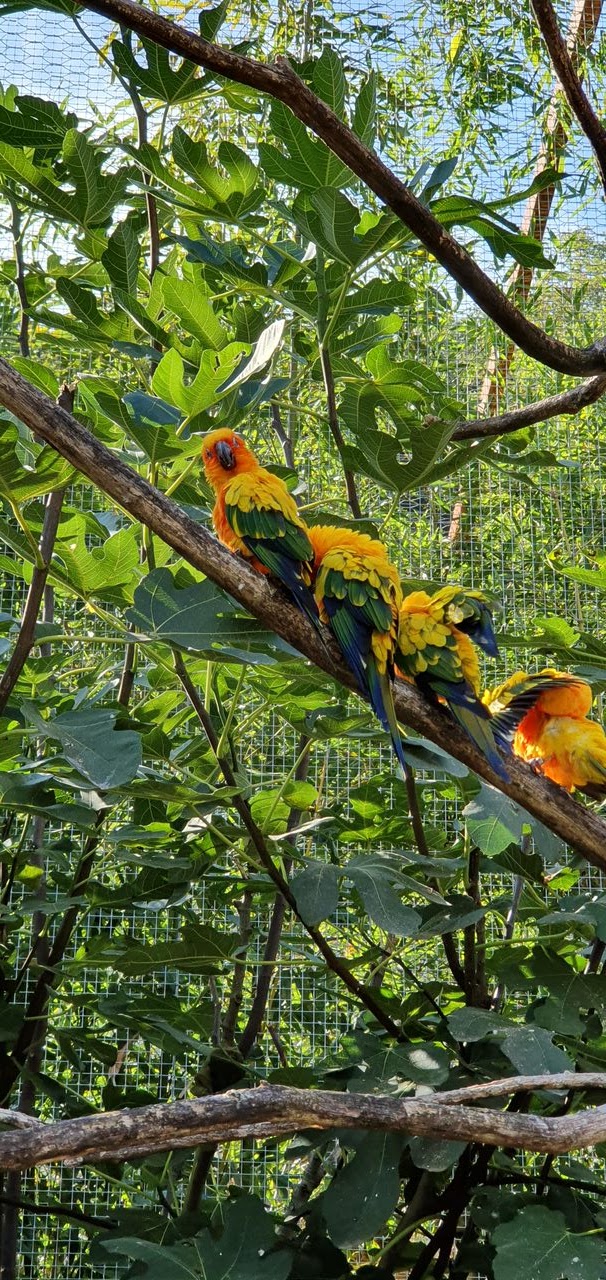 Photo n° 3 de l'avis de Jean.a fait le 18/05/2023 à 12:05