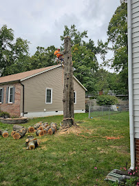 Carlos Tree Service & Landscaping - Photo 3 - Car repair in Fredericksburg, VA, Fredericksburg