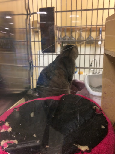 Pet Supply Store «PetSmart», reviews and photos, 1285 Johnson Ferry Rd, Marietta, GA 30068, USA