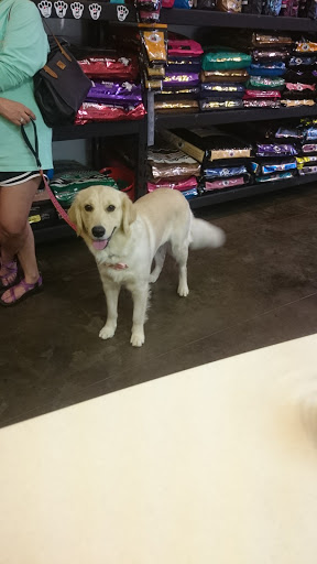 Pet Supply Store «Bow Wow & Meow», reviews and photos, 11607 Maumelle Blvd, North Little Rock, AR 72113, USA