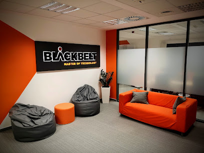 BlackBelt Technology Kft.