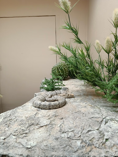 Zoo «Gladys Porter Zoo», reviews and photos, 500 E Ringgold St, Brownsville, TX 78520, USA