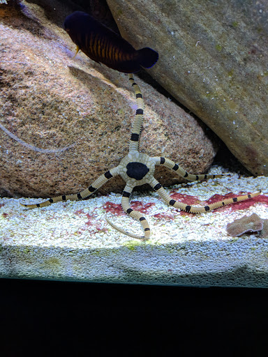 Tropical Fish Store «Salt And More Saltwater Specialty Store», reviews and photos, 2819 34th St, Lubbock, TX 79410, USA