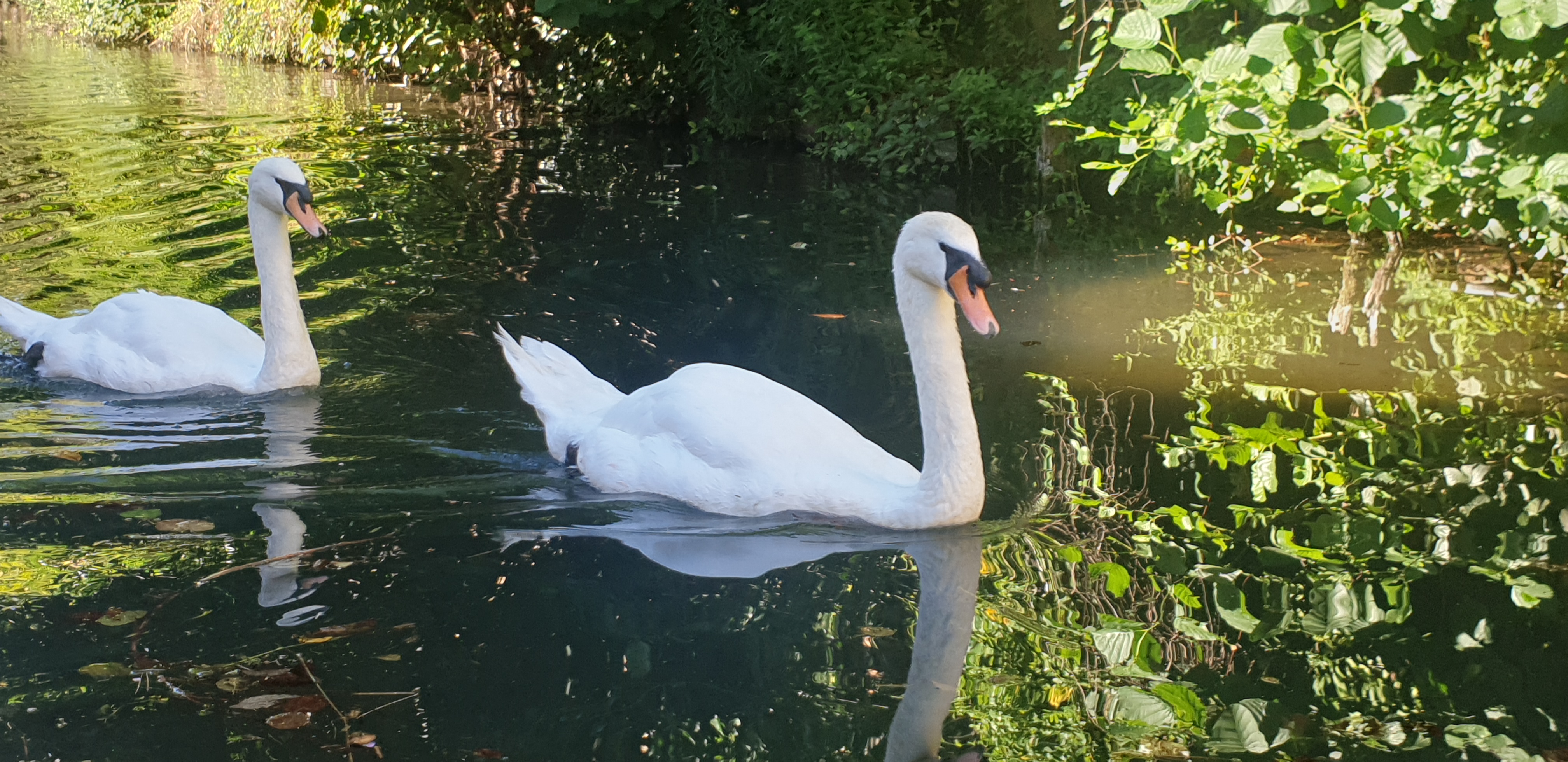 Photo n° 1 de l'avis de christophe.a fait le 04/08/2022 à 14:13