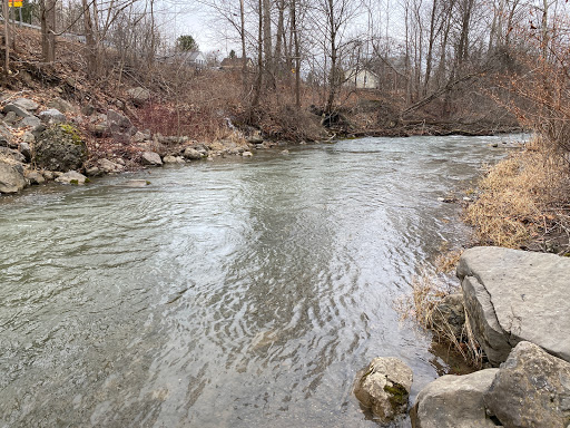 Aquarium «Syracuse Aquarium & Pond Supply», reviews and photos, 4618 North St, Jamesville, NY 13078, USA