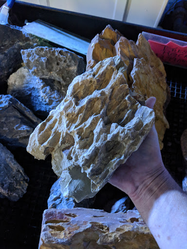 Tropical Fish Store «The Fish Store», reviews and photos, 2050 Chamblee Tucker Rd, Chamblee, GA 30341, USA