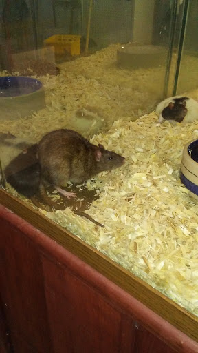 Pet Supply Store «Panhandle Pet Supply», reviews and photos, 3661 N Monroe St, Tallahassee, FL 32303, USA