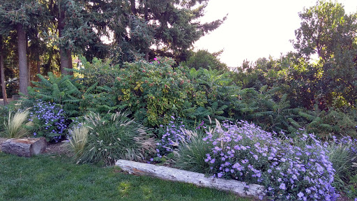 Park «Fremont Peak Park», reviews and photos, 4357 Palatine Ave N, Seattle, WA 98103, USA