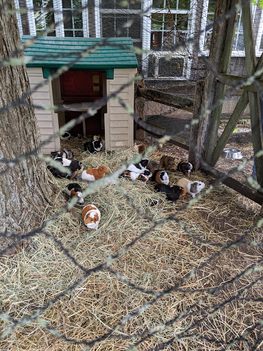 Animal Rescue Service «Ray of Light Farm Inc», reviews and photos, 232 Town St, East Haddam, CT 06423, USA