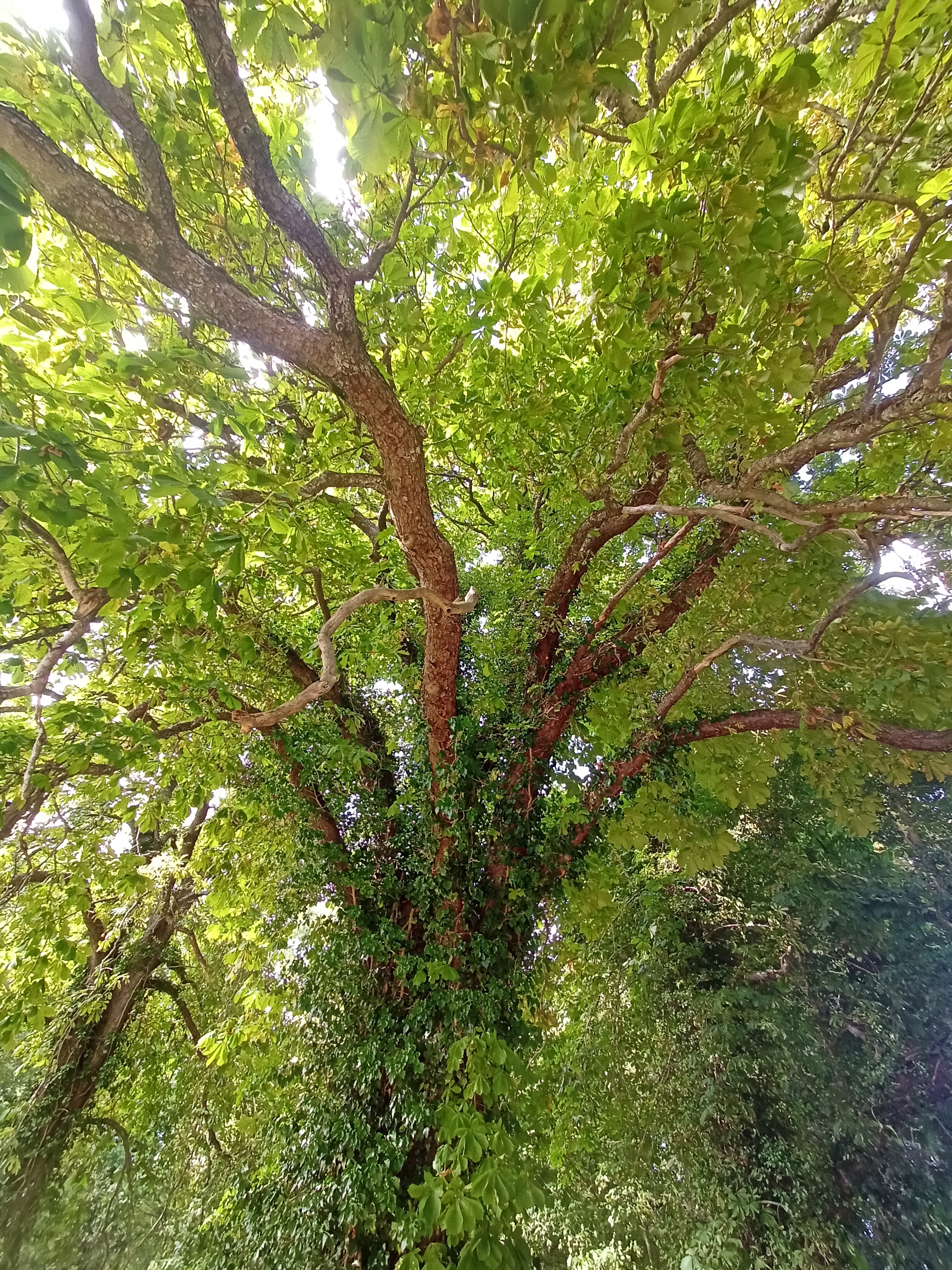 Photo n° 1 de l'avis de Clotilde. fait le 23/08/2023 à 11:50