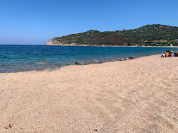 Φωτογραφία του Παραλία λάβας παροχές περιοχής